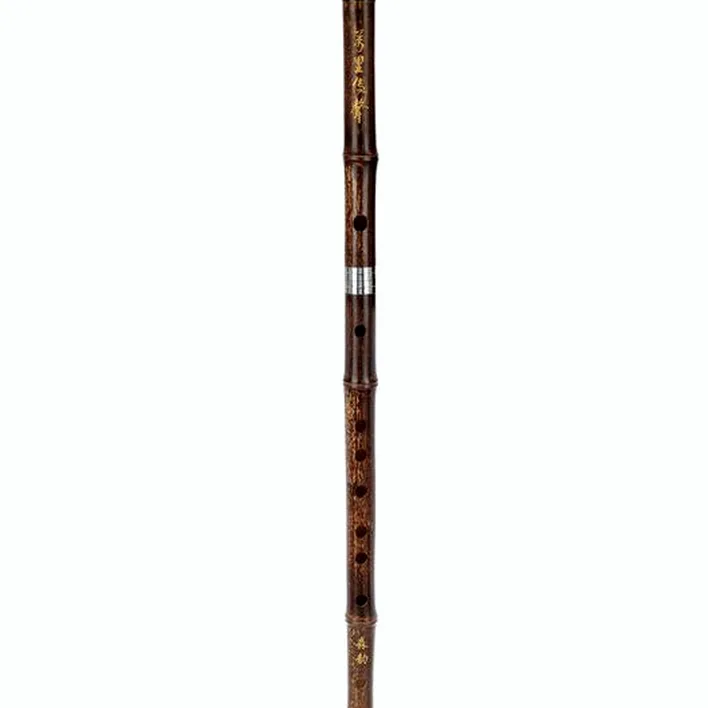 Flûte Artino Chinese QuDi Pro Flute Eb Avis, Comparatif, Test