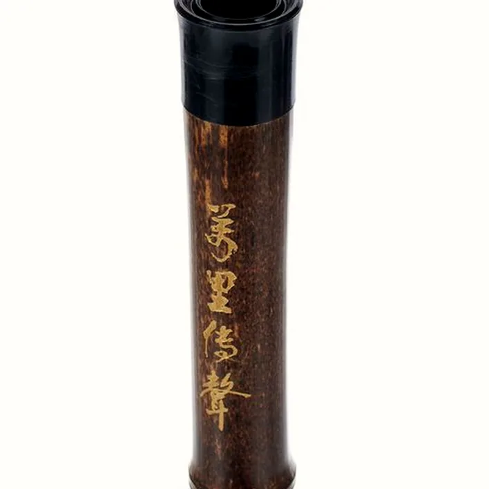 Flûte Artino Chinese QuDi Pro Flute Eb Avis, Comparatif, Test