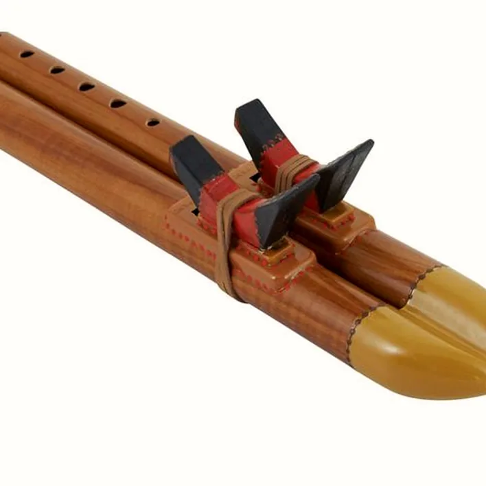 Flûte Thomann Indian Flute Double Tone G Test & Avis