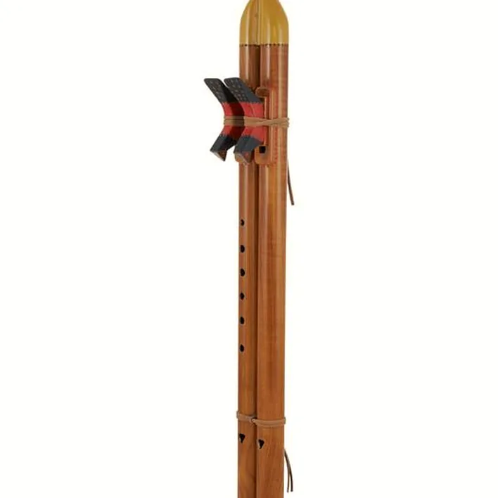 Flûte Thomann Indian Flute Double Tone G Test & Avis
