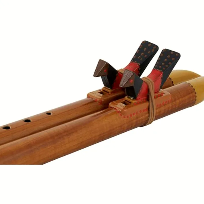 Flûte Thomann Indian Flute Double Tone G Test & Avis