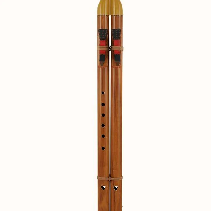 Flûte Thomann Indian Flute Double Tone G Test & Avis