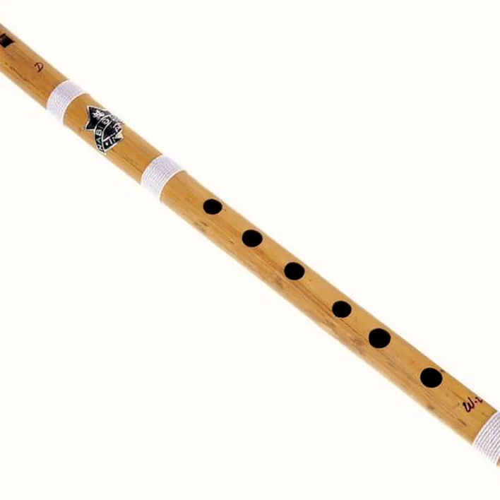 Flûte Thomann Nataraj Bansuri Straight D – Test, Avis, Comparatif