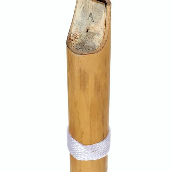 Flûte Thomann Nataraj Bansuri Straight D – Test, Avis, Comparatif