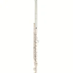 Test & Avis : Altus AS-917 SE Alto Flute