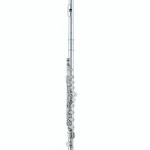 Flûte traversière Altus AS-A9 EO-S Flute – Avis, Test & Comparatif