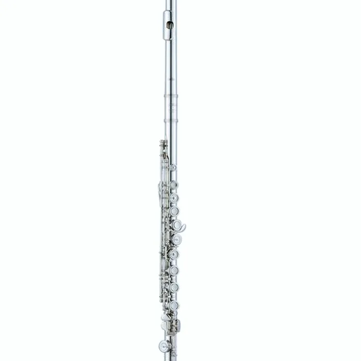 Flûte traversière Altus AS-A9 EO-S Flute – Avis, Test & Comparatif