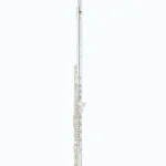 Test & Avis : Azumi AZ-S2 E Flute