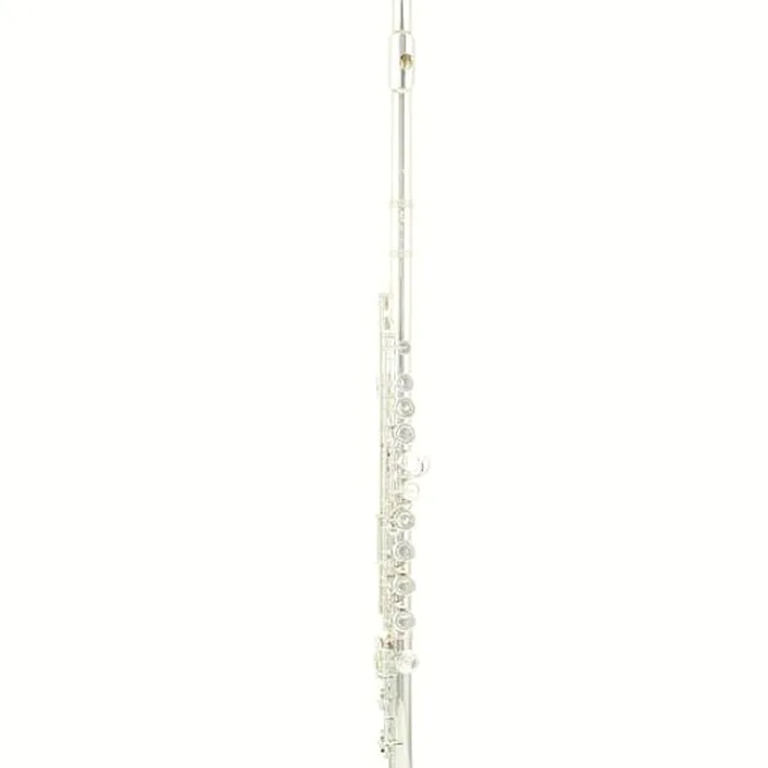 La flûte traversière Azumi AZ-S3 E Flute Avis, Test et Comparatif