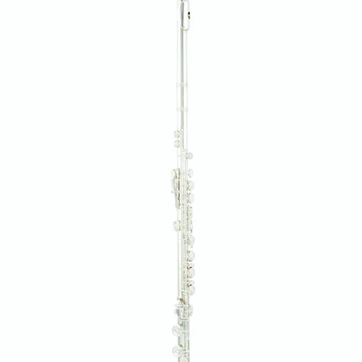 La flûte traversière Azumi AZ-S3 E Flute Avis, Test et Comparatif