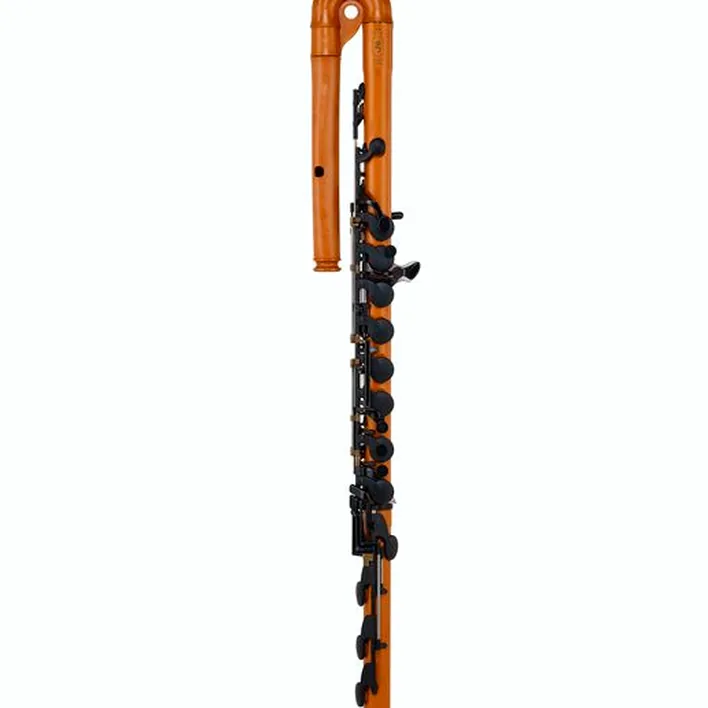 Avis, Test : Guo New Voice Bass Flute Saddle Br