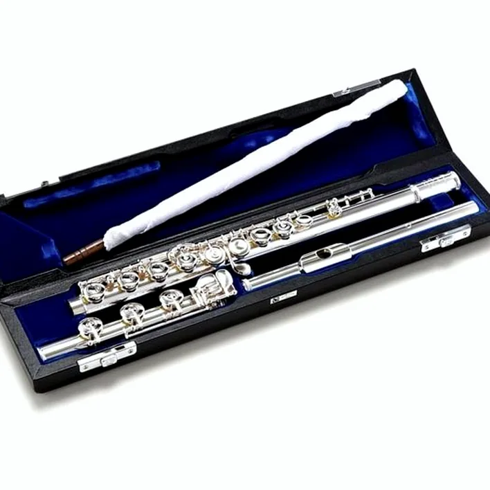 Flûte traversière Muramatsu GX-CBE Flute : Avis, Comparatif et Test