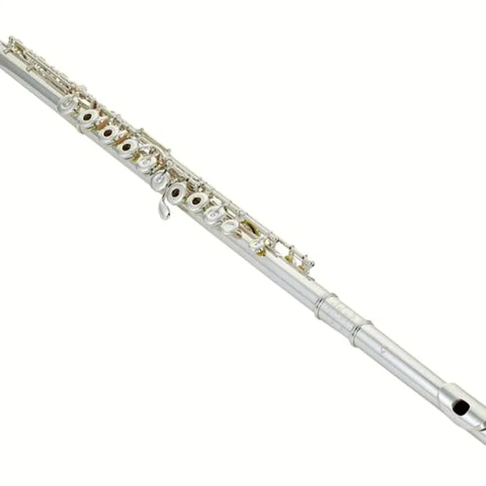 Flûte traversière Muramatsu GX-RBE Flute , Test et Avis