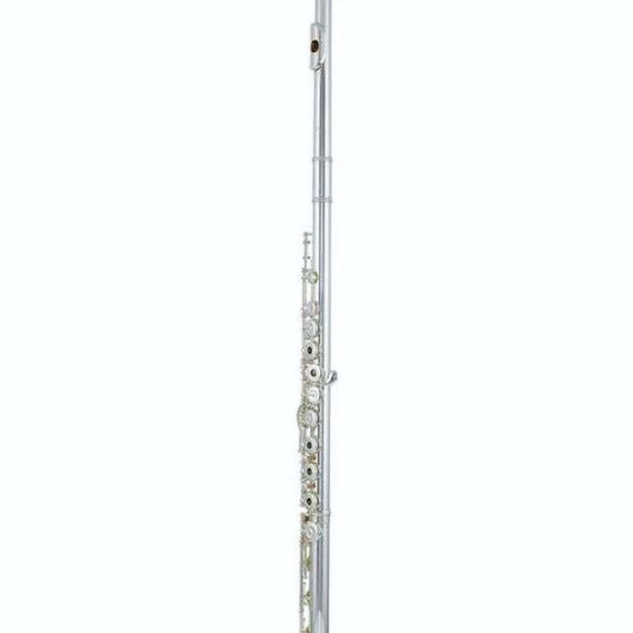 Flûte traversière Muramatsu GX-RBE Flute , Test et Avis