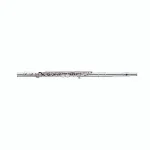 Test, Avis flûte traversière Pearl Flutes PFA 201 ESU Alto Flute