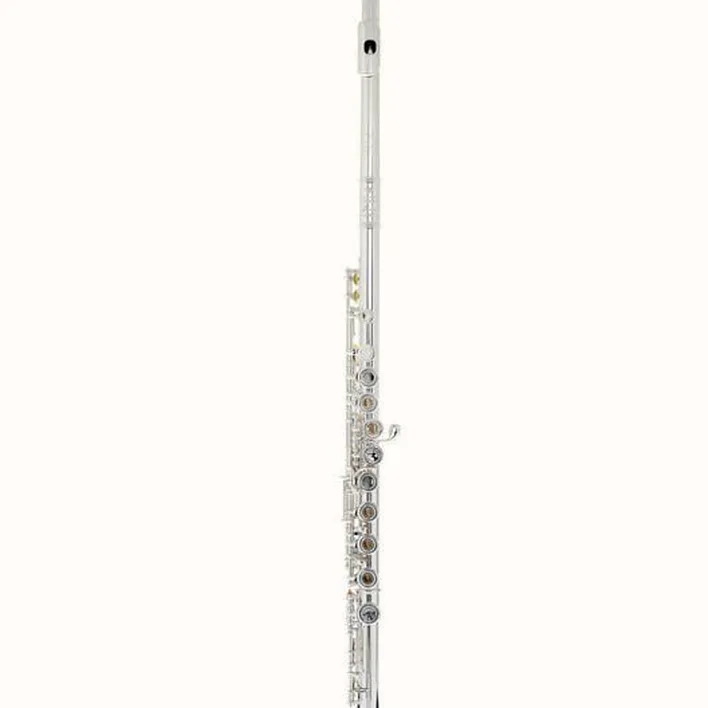 Avis et Test flûte traversière Powell Sonare PS 601 CEF Flute