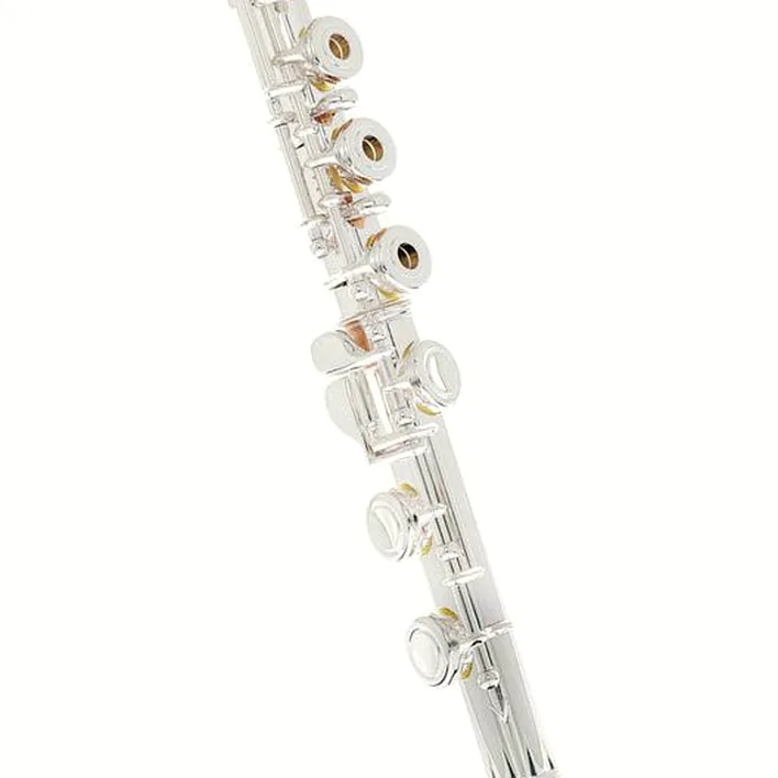 Avis et Test flûte traversière Powell Sonare PS 601 CEF Flute