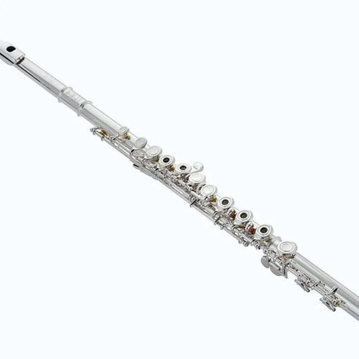 Avis et Test flûte traversière Powell Sonare PS 601 CEF Flute