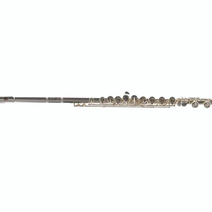Sankyo CF 401 Flute