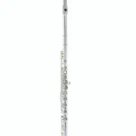 Test et Avis flûte traversière Thomann FL-200C Flute