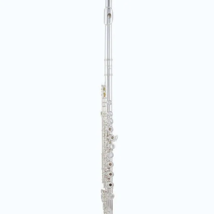 Avis et Test flûte traversière Thomann FL-300R Flute
