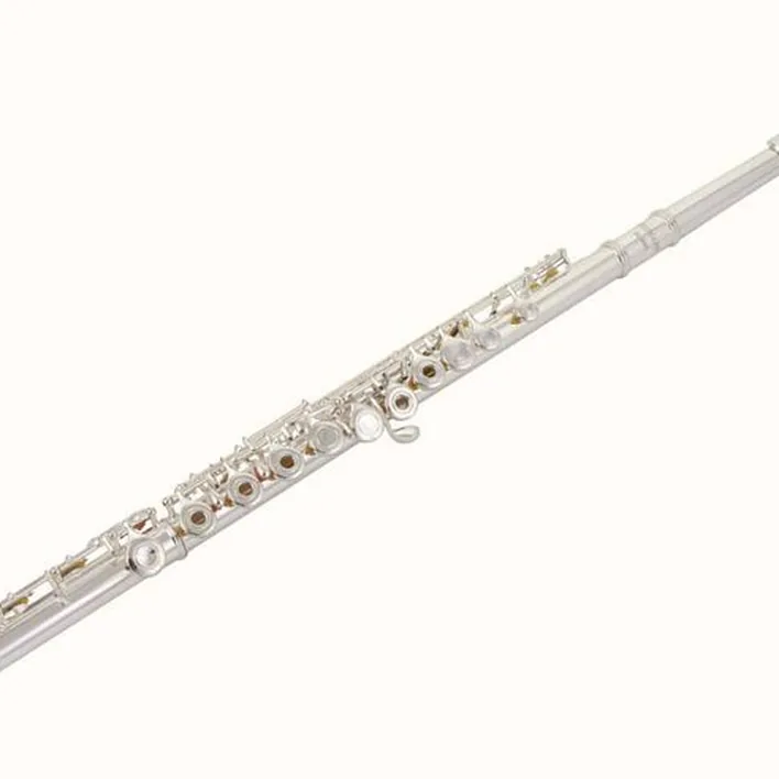 Avis et Test flûte traversière Thomann FL-300R Flute