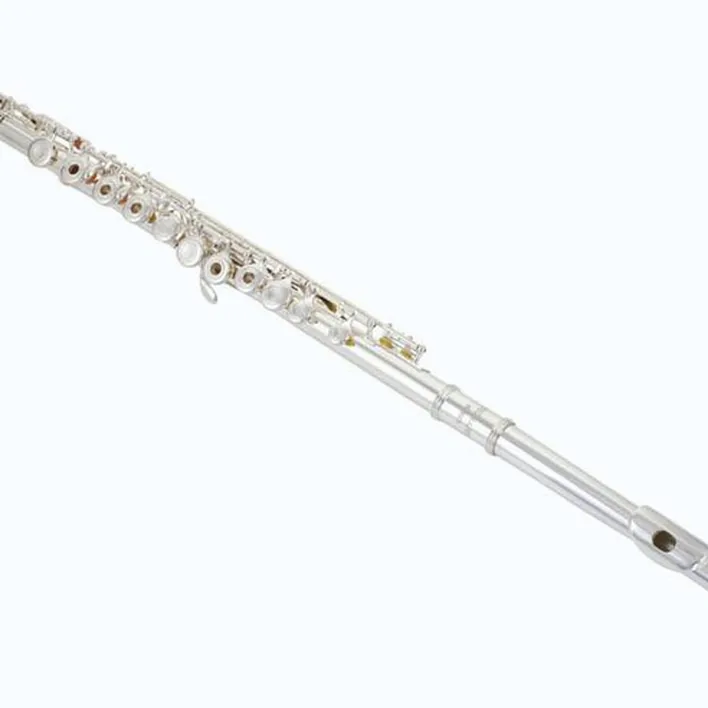 Avis et Test flûte traversière Thomann FL-300R Flute