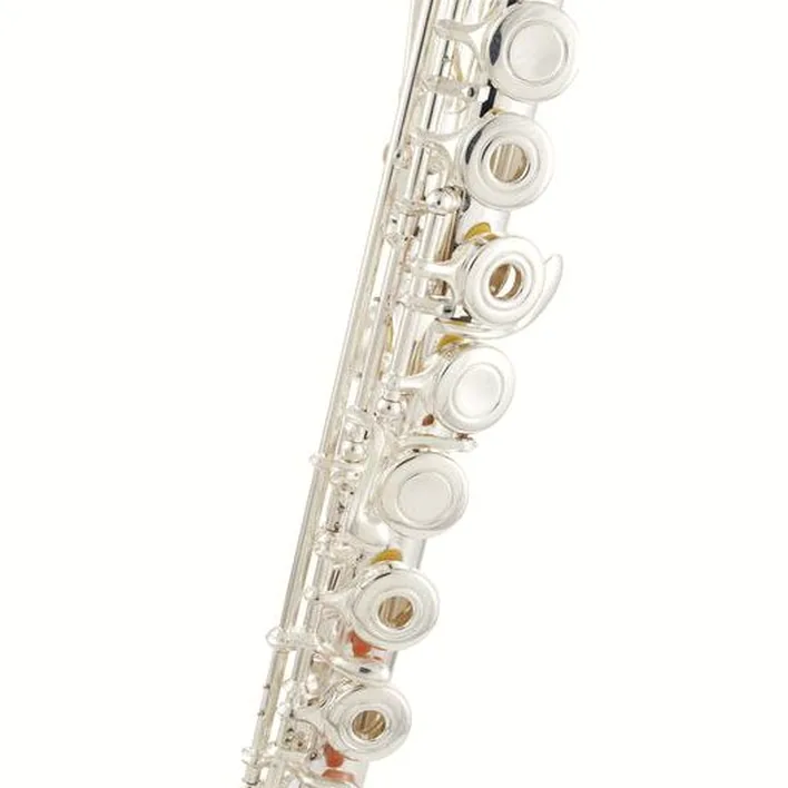 Avis et Test flûte traversière Thomann FL-300R Flute