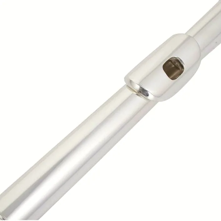 Avis et Test flûte traversière Thomann FL-300R Flute