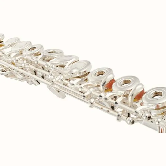 Avis et Test flûte traversière Thomann FL-300R Flute