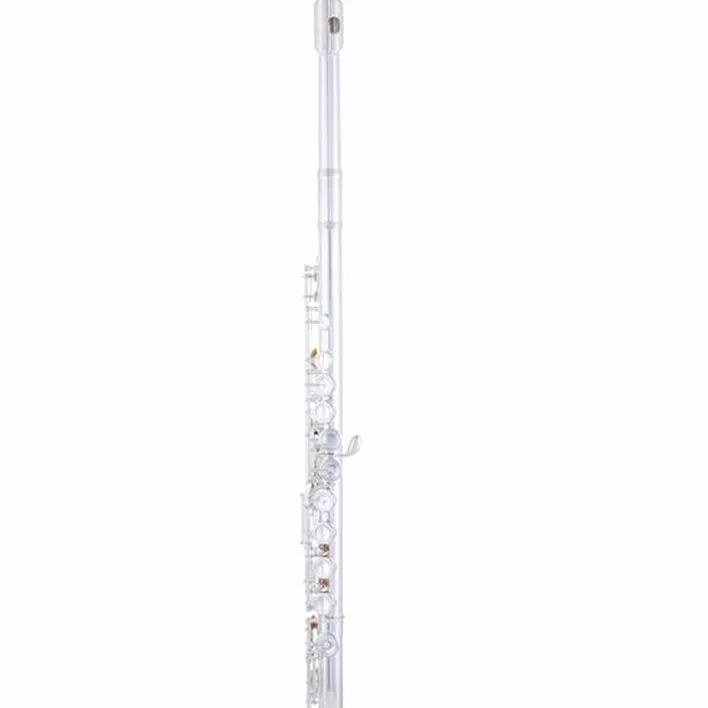 Flûte traversière Thomann Kotori KF-CCEO Flute / Test, Comparatif, Avis