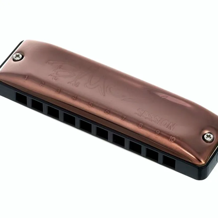 Harmonica C.A. Seydel Söhne Session Antique F , Test, Avis et Comparatif
