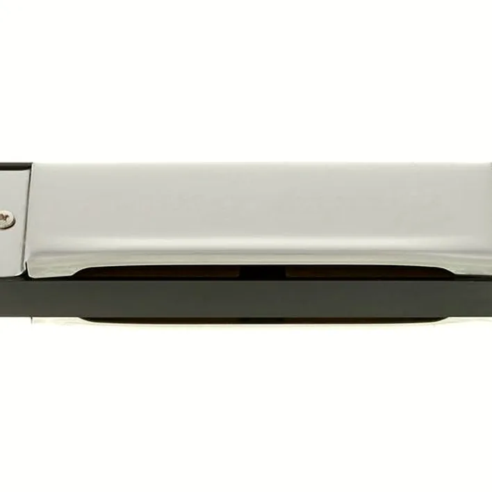 Harmonica Harley Benton Blues Harmonica Starter Set / Comparatif, Test, Avis