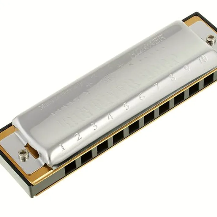 Harmonica Hohner Big River Harp MS D : Avis, Test & Comparatif