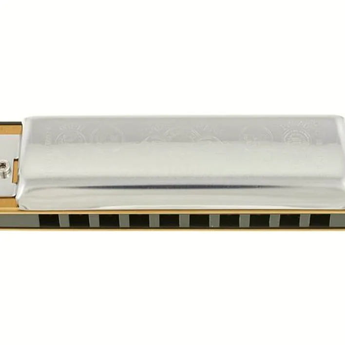 Harmonica Hohner Big River Harp MS D : Avis, Test & Comparatif