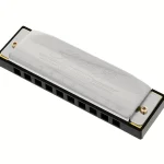 Harmonica Hohner Special 20 Bb Test, Avis & Comparatif