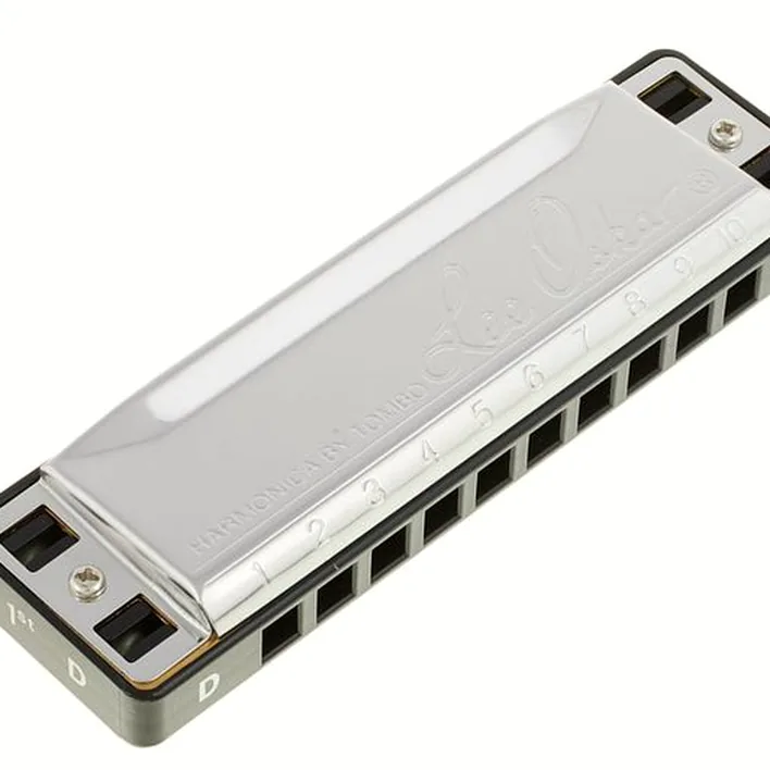 Harmonica Lee Oskar Major Diatonic D : Comparatif, Avis & Test