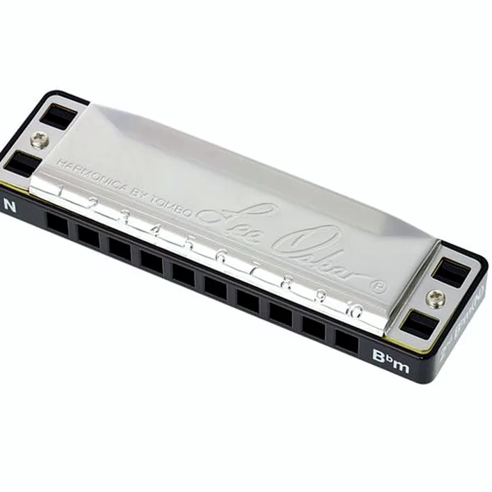 Harmonica Lee Oskar Natural Minor Bb Avis et Test
