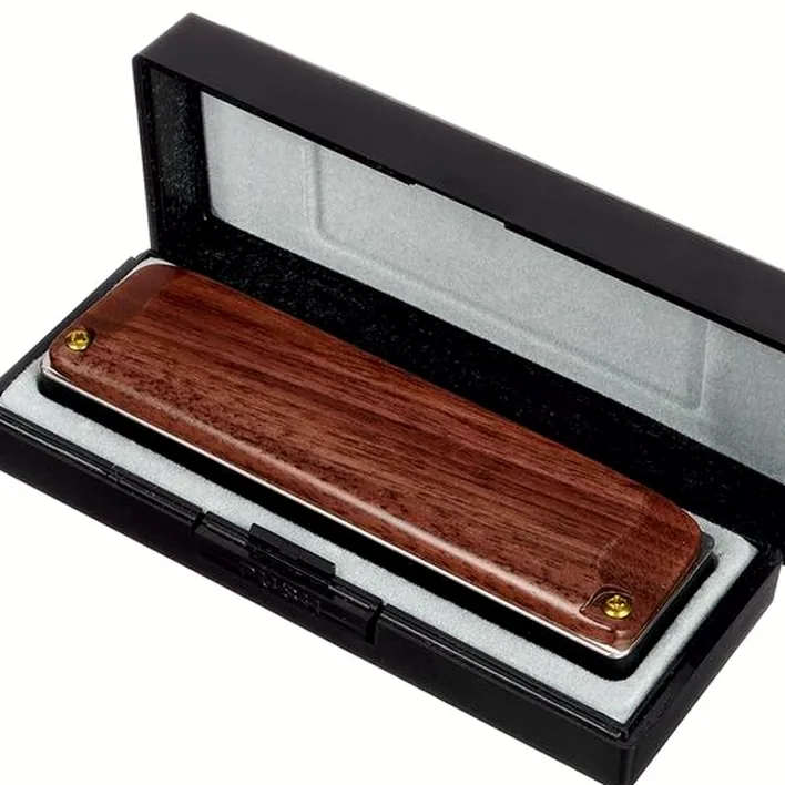 Harmonica Suzuki M-20W Manji Bb Comparatif, Avis et Test