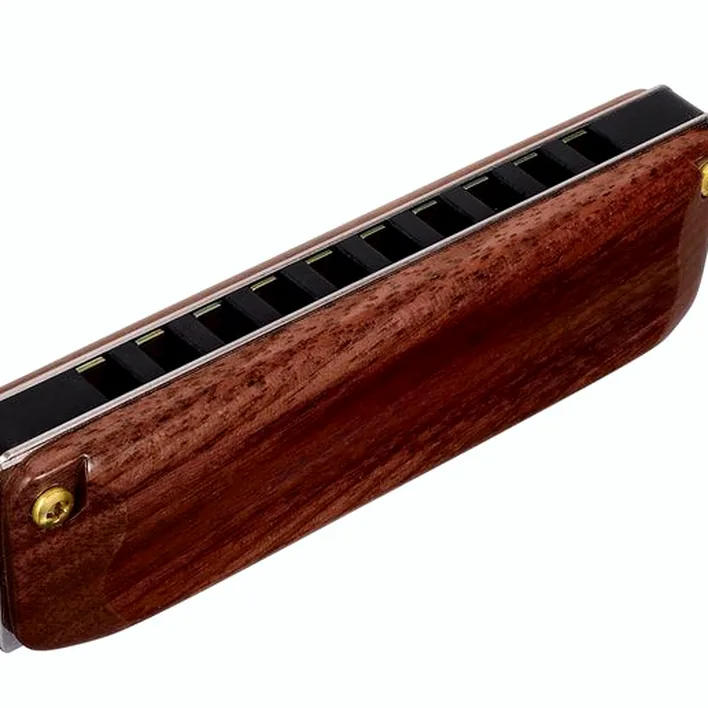 Harmonica Suzuki M-20W Manji Bb Comparatif, Avis et Test