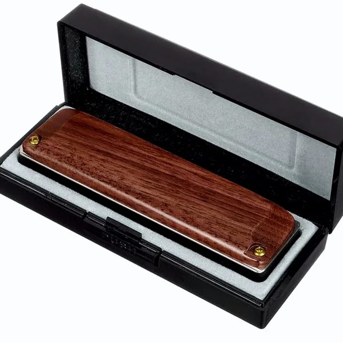 Harmonica Suzuki M-20W Manji C , Avis & Test