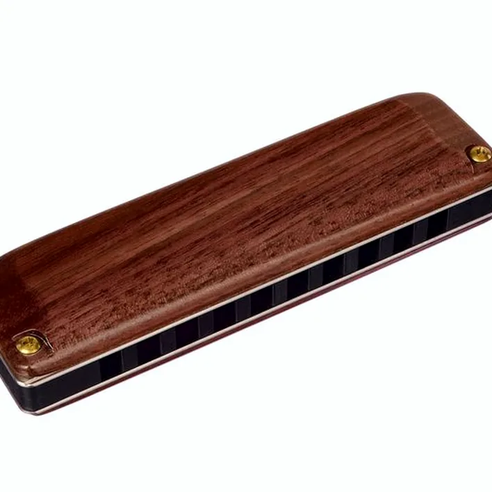 Harmonica Suzuki M-20W Manji C , Avis & Test