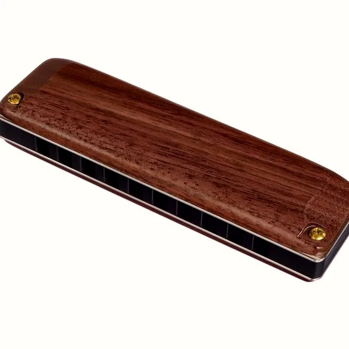 Harmonica Suzuki M-20W Manji C , Avis & Test