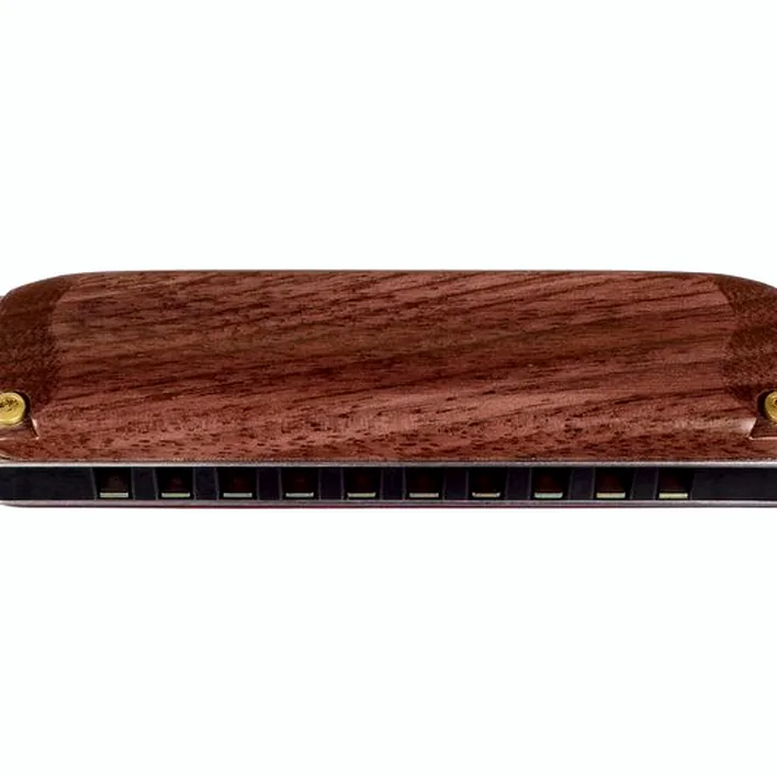 Harmonica Suzuki M-20W Manji C , Avis & Test