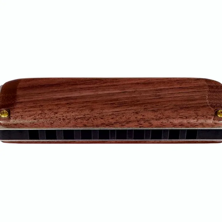 Harmonica Suzuki M-20W Manji C , Avis & Test