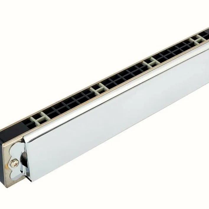 Harmonica Suzuki SU-21HM Humming Tremolo C#(Db) / Avis, Test et Comparatif