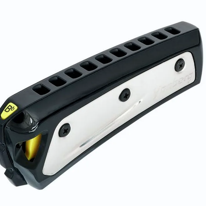 Harmonica Yonberg D2 Storm Black Bb : Comparatif, Test & Avis
