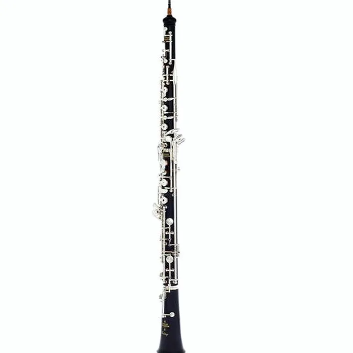 Hautbois Buffet Crampon BC-4062-2-0 Oboe / Avis, Test & Comparatif