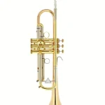 Kühnl & Hoyer Spirit RL Bb-Trumpet lacque – Test, Avis, Comparatif