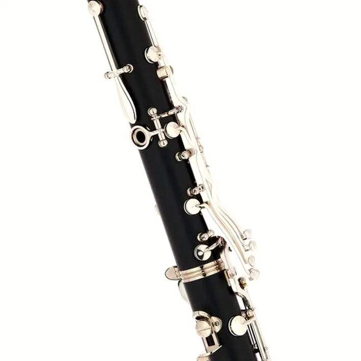 Test et Avis : Buffet Crampon Prodige Bb-Clarinet 17/6